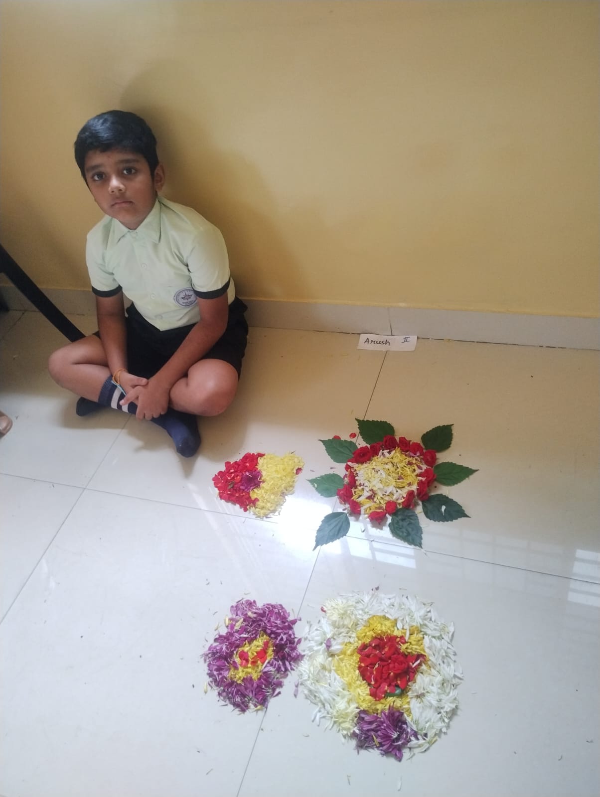 project-img